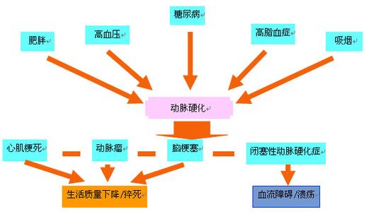 影响动脉硬化发病因素有哪些？